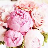 (Kategori: ) berada di . Dikirim oleh bloompeonies17 (ID iklan 1373812353, Gambar 1). Deskripsi: .