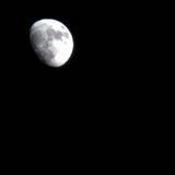 (Category: ) located in . Submitted by j_hhhh (Listing ID 1377365667, Image 1). Description: .
