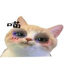 (Category: ) located in . Submitted by aireen.amirr (Listing ID 1460877233, Image 1). Description: .