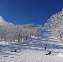 由 janecom (刊登 ID 1119797170，圖片 1) 提交，位於 的 (類別：)，說明：。