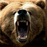 （分類：）位於 。 由 bear__bear 提交（商品編號 1378099337，圖片 1）。簡介： 。