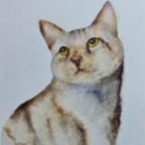 (Category: ) located in . Submitted by iamk20 (Listing ID 1360423002, Image 1). Description: .
