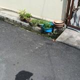 (Category: ) located in . Submitted by leowhaoyu118751 (Listing ID 1460083257, Image 1). Description: .
