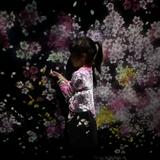 （分類：）位於 。 由 suetyi_ng 提交（商品編號 1383313301，圖片 1）。簡介： 。
