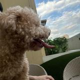 (Category: ) located in . Submitted by a64256404 (Listing ID 1362429697, Image 1). Description: .