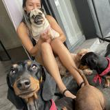 (Category: ) located in . Submitted by fundmybubbletea (Listing ID 1376109950, Image 1). Description: .