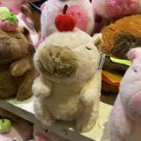 (Category: ) located in . Submitted by icecreamcookies (Listing ID 1375304331, Image 1). Description: .
