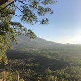 (Kategori: ) berada di . Dikirim oleh afterelle (ID iklan 1384071467, Gambar 1). Deskripsi: .