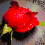 (Category: ) located in . Submitted by jsr01960 (Listing ID 1358102865, Image 1). Description: .