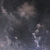 (Category: ) located in . Submitted by fudge93 (Listing ID 1317908393, Image 1). Description: .