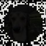 (Category: ) located in . Submitted by hazeeqoleeqo (Listing ID 1447383124, Image 1). Description: .
