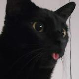 (Category: ) located in . Submitted by k9kitty2 (Listing ID 1383356482, Image 1). Description: .