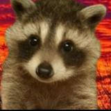 (Category: ) located in . Submitted by kokonotnot (Listing ID 1326203733, Image 1). Description: .