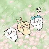 （分類：）位於 。 由 li_000y 提交（商品編號 1382613133，圖片 1）。簡介： 。