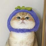 (Category: ) located in . Submitted by trinitypaws (Listing ID 1353389156, Image 1). Description: .
