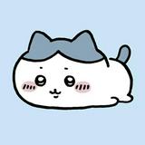 由 nn_chen (刊登 ID 1380090585，圖片 1) 提交，位於 的 (類別：)，說明：。