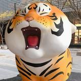 由 seayan530 (刊登 ID 1384066949，圖片 1) 提交，位於 的 (類別：)，說明：。