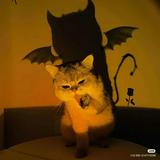 (Category: ) located in . Submitted by catlover32 (Listing ID 1464981254, Image 1). Description: .
