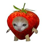 (Category: ) located in . Submitted by hellojelato (Listing ID 1328929815, Image 1). Description: .
