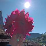 (Kategori: ) berada di . Dikirim oleh prelovedby__kia (ID iklan 1385764037, Gambar 1). Deskripsi: .