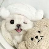 （分類：）位於 。 由 arlindach 提交（商品編號 1356508643，圖片 1）。簡介： 。