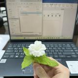 由 lyonnaihouse (刊登 ID 1323661044，圖片 1) 提交，位於 的 (類別：)，說明：。