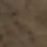 (Category: ) located in . Submitted by macko124 (Listing ID 1374481229, Image 1). Description: .