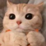 （分類：）位於 。 由 e.coupon_zi 提交（商品編號 1377118408，圖片 1）。簡介： 。