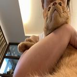 由 gejwiiwjnbsnsoaok (刊登 ID 1320221319，圖片 1) 提交，位於 的 (類別：)，說明：。