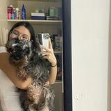 (Category: ) located in . Submitted by solonglondon (Listing ID 1354692883, Image 1). Description: .