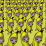 （分類：）位於 。 由 smileyfaces0741 提交（商品編號 1377668267，圖片 1）。簡介： 。