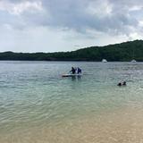 (Category: ) located in . Submitted by cel03486 (Listing ID 1385761869, Image 1). Description: .