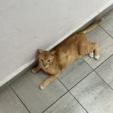 (Category: ) located in . Submitted by fb321 (Listing ID 1376059177, Image 1). Description: .