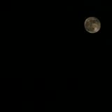 （分類：）位於 。 由 kcalbty 提交（商品編號 1378316419，圖片 1）。簡介： 。
