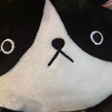 (Category: ) located in . Submitted by kootiecat (Listing ID 1377544068, Image 1). Description: .