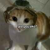 (Kategori: ) berada di . Dikirim oleh meowism__ (ID iklan 1324271054, Gambar 1). Deskripsi: .