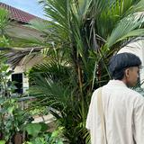 (Category: ) located in . Submitted by frhnfikri (Listing ID 1469105406, Image 1). Description: .