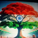 (Category: ) located in . Submitted by saravana_420 (Listing ID 1348341457, Image 1). Description: .