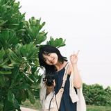 由 wangnc (刊登 ID 1361713279，圖片 1) 提交，位於 的 (類別：)，說明：。