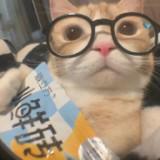 (Category: ) located in . Submitted by catlover829319 (Listing ID 1383455773, Image 1). Description: .