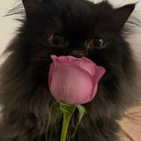 (Category: ) located in . Submitted by barbarsuarz (Listing ID 1371898725, Image 1). Description: .