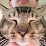 (Category: ) located in . Submitted by momadck2763621 (Listing ID 1457165082, Image 1). Description: .