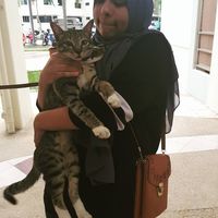 (Category: ) located in . Submitted by shahifarvi42704 (Listing ID 1470312319, Image 1). Description: .