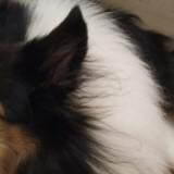 (Category: ) located in . Submitted by vel_k (Listing ID 1376908138, Image 1). Description: .