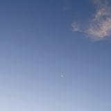 (Category: ) located in . Submitted by floating.clouds. (Listing ID 1372754857, Image 1). Description: .