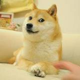 （分類：）位於 。 由 shishishiba 提交（商品編號 1384498279，圖片 1）。簡介： 。