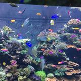 (Category: ) located in . Submitted by tomsoyabean (Listing ID 1379046109, Image 1). Description: .