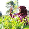 (Kategori: ) berada di . Dikirim oleh dbputri (ID iklan 1334685441, Gambar 1). Deskripsi: .