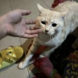 (Kategori: ) berada di . Dikirim oleh jokulapaaja (ID iklan 1331774539, Gambar 1). Deskripsi: .