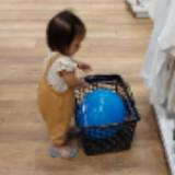 (Kategori: ) berada di . Dikirim oleh vampryalxs (ID iklan 1381939362, Gambar 1). Deskripsi: .